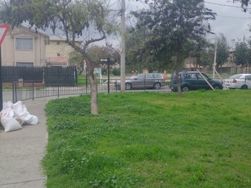 Imagen 13
