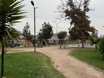 Imagen 21