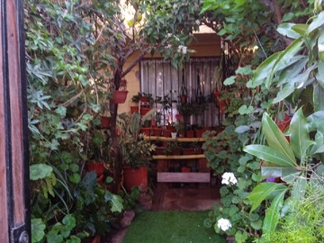 Acceso con árboles frutales