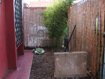 Imagen 15