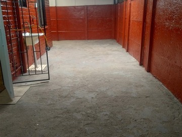 Imagen 11