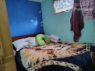 Imagen 6