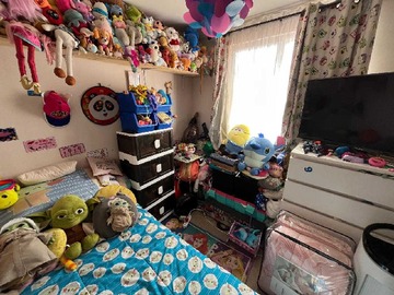 Imagen 16