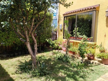 Imagen 6
