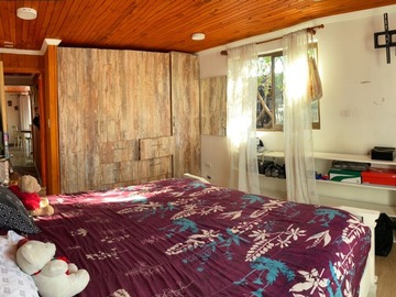 Imagen 12