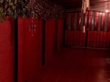 Imagen 12