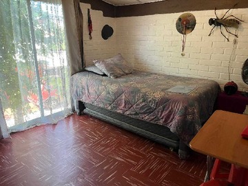 Imagen 12