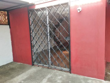 Imagen 9