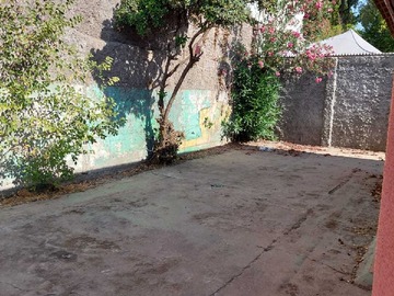 Imagen 11