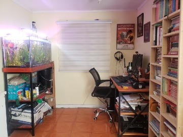Imagen 5