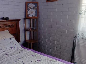 Imagen 10