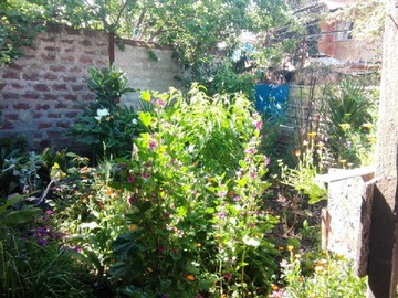 Imagen 6
