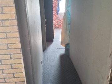 Imagen 5