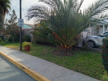 Imagen 8