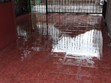 Imagen 6