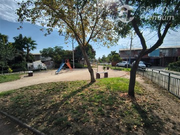 Imagen 11