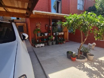 Imagen 6