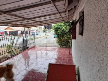Imagen 19