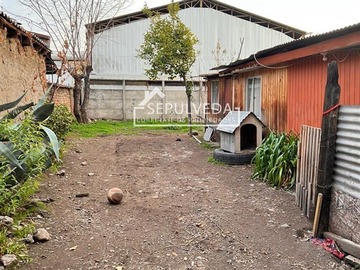 Imagen 11