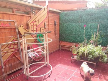Imagen 12