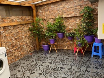 Imagen 11