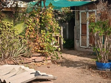 Imagen 22
