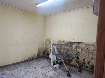 Imagen 21
