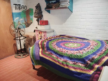 Imagen 11