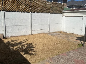 Imagen 19