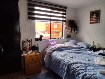 Imagen 21