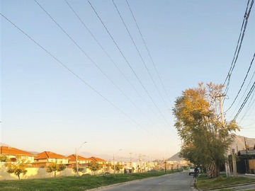 Imagen 25