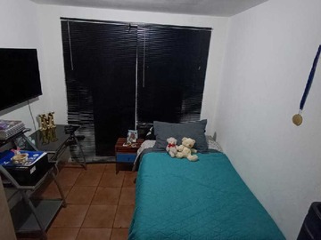 Imagen 11