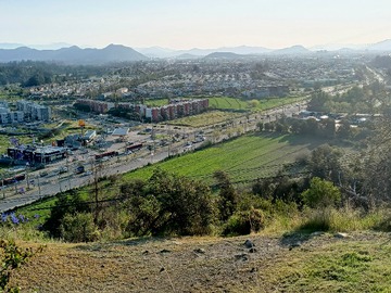 CERRO LA BALLENA (20 MINUTOS A PIE)