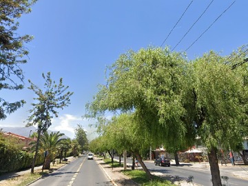 Imagen 13