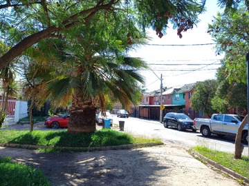 Parque frente de la casa