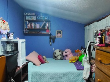 Imagen 17