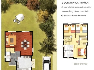 Imagen 5