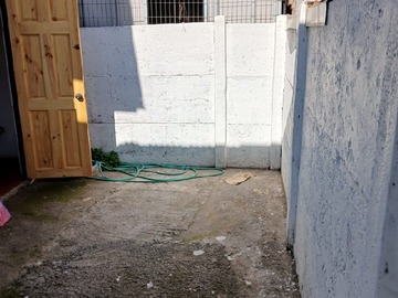 Imagen 21
