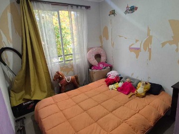 Imagen 20