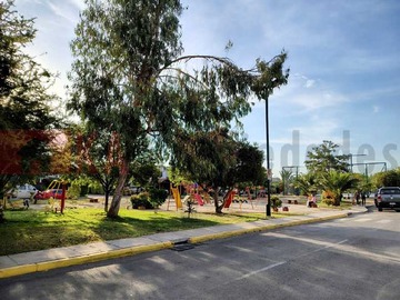 Imagen 19
