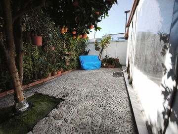 Imagen 10