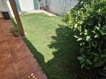 Imagen 14