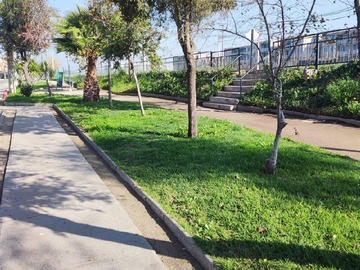 Imagen 25