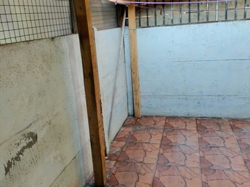 Imagen 19