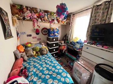 Imagen 13