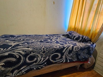 Imagen 5