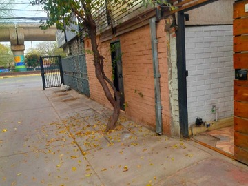 Imagen 15