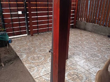 Imagen 18
