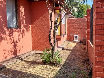 Imagen 5