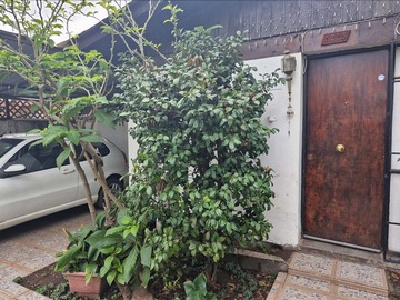 Venta / Casa / Puente Alto